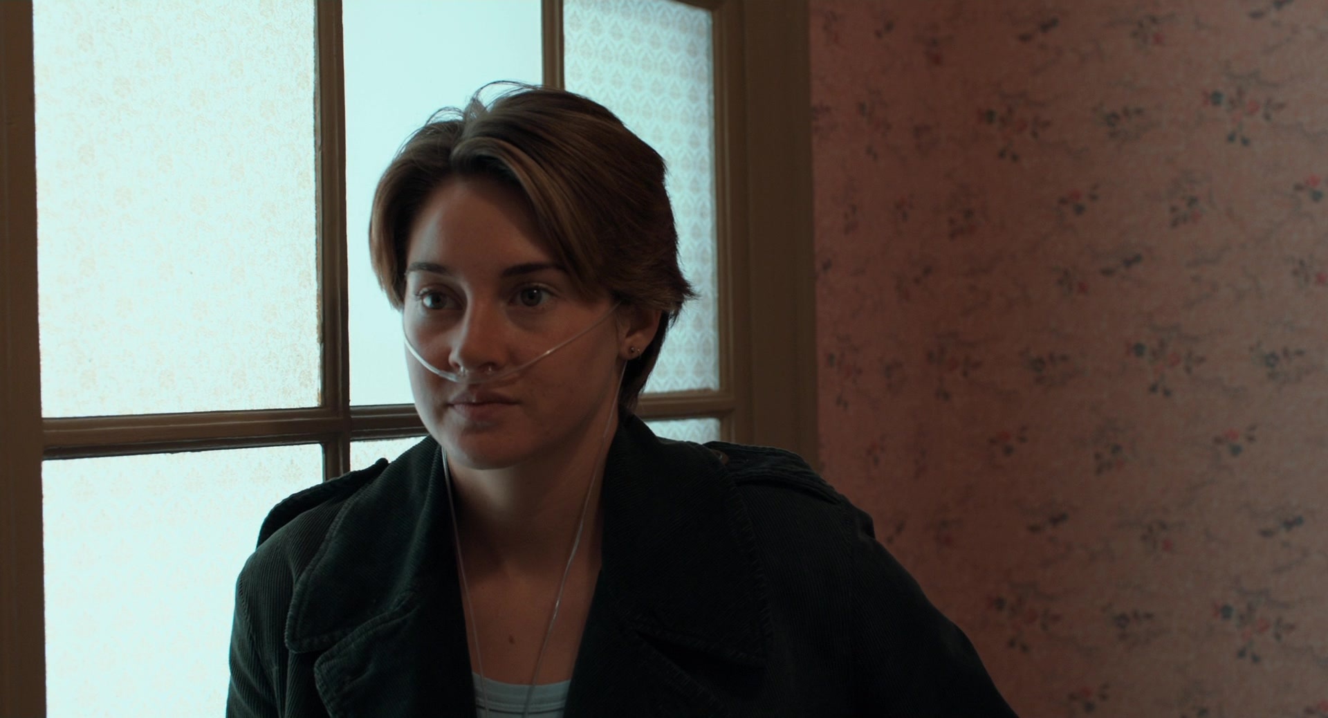 The Fault in Our Stars (2014), medium, 1.85:1 — film still