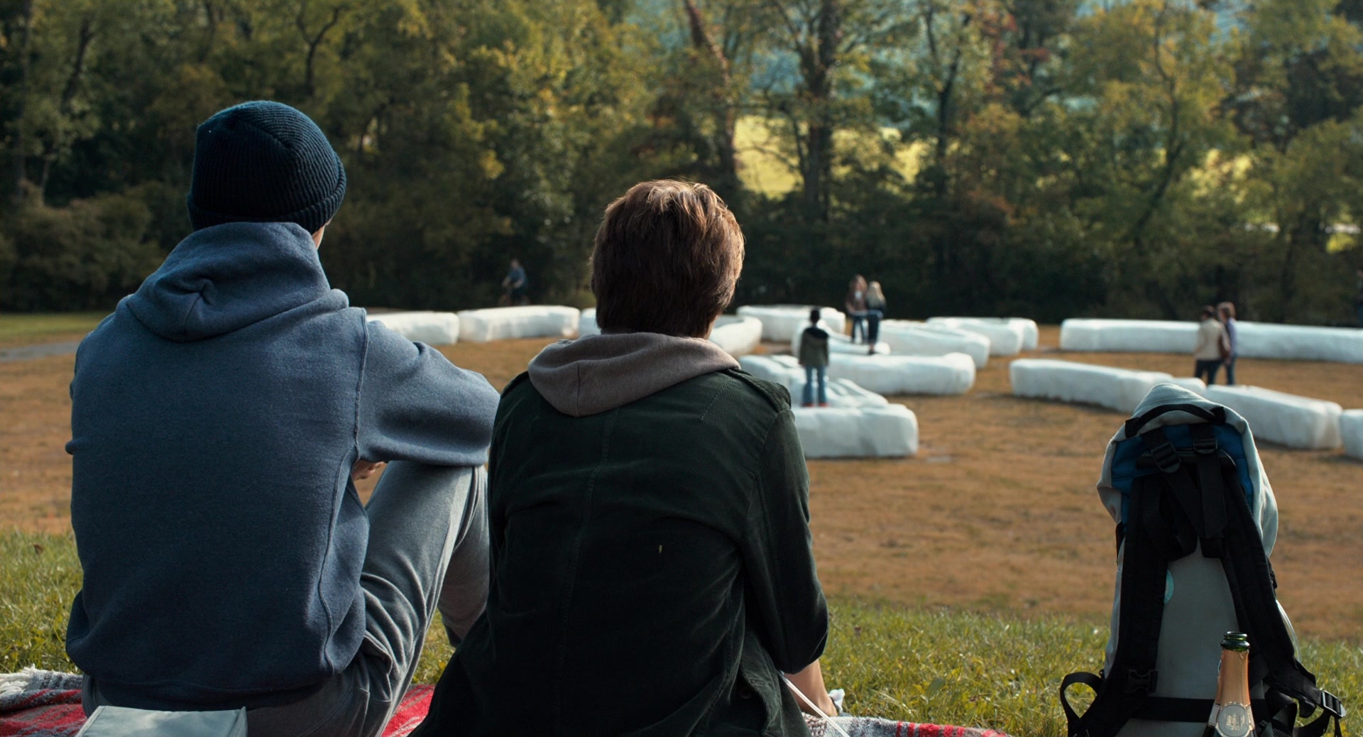 The Fault in Our Stars (2014), wide, 1.85:1 — film still