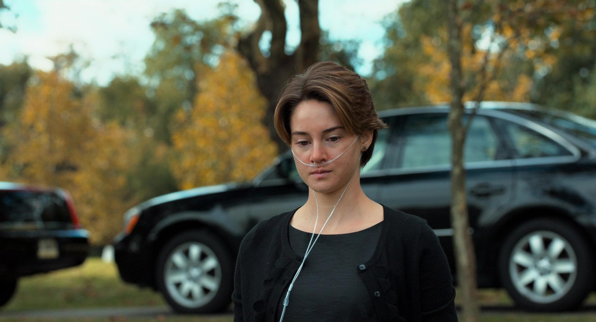 The Fault in Our Stars (2014), wide, 1.85:1 — film still