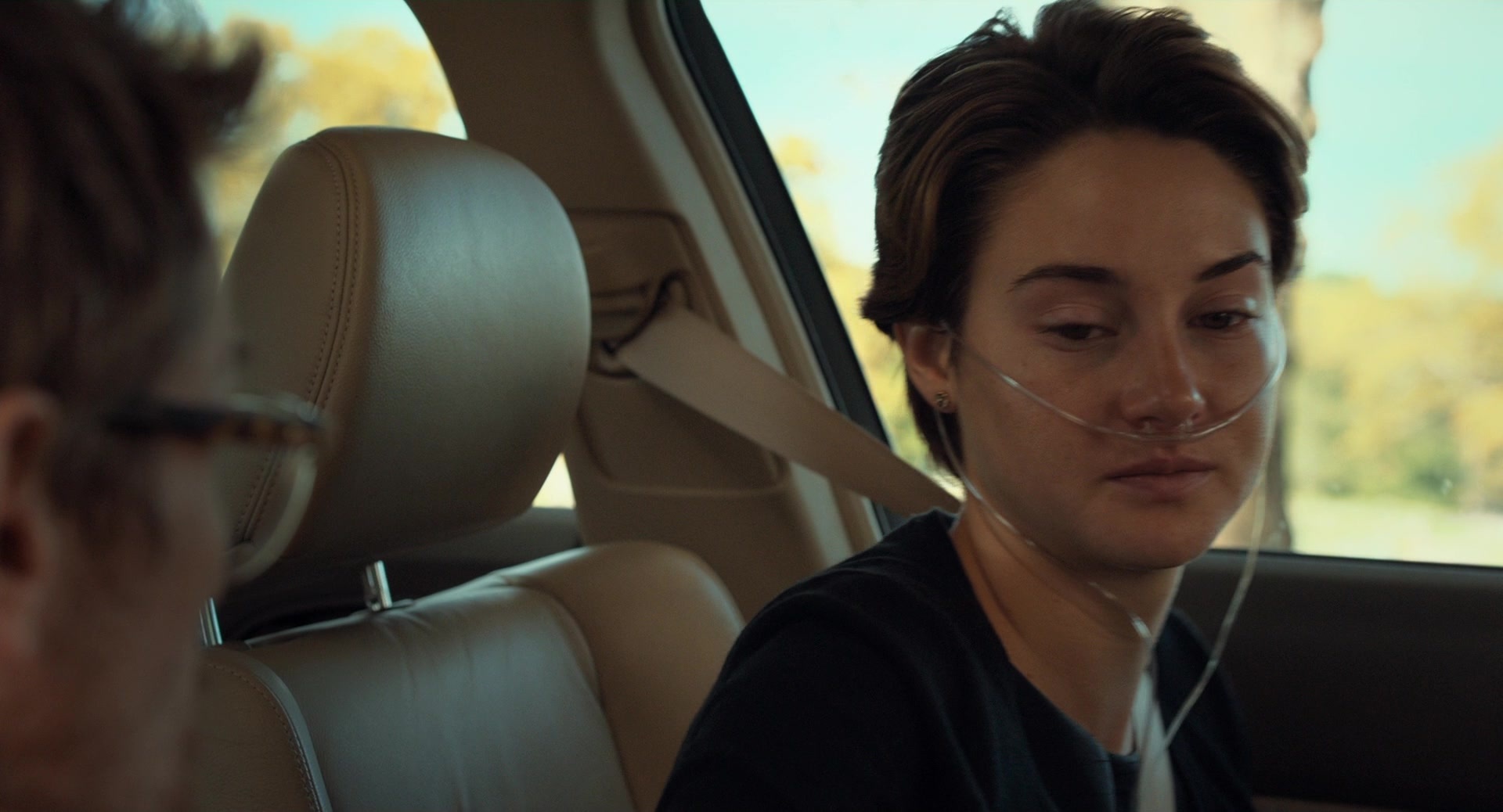 The Fault in Our Stars (2014), medium, 1.85:1 — film still