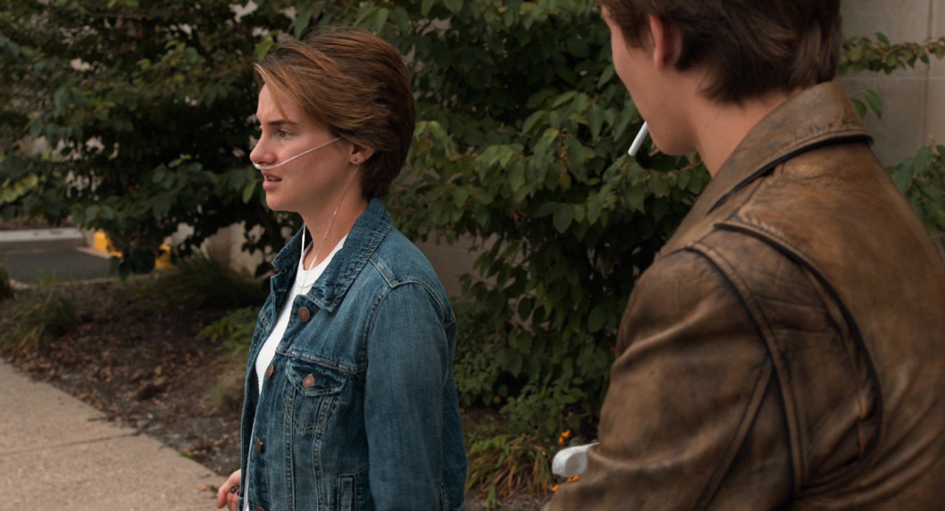 The Fault in Our Stars (2014), wide, 1.85:1 — film still