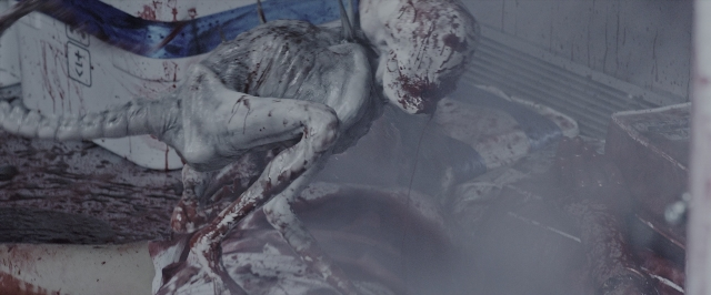 Wide shot frame from Alien: Covenant — room, animal, face
