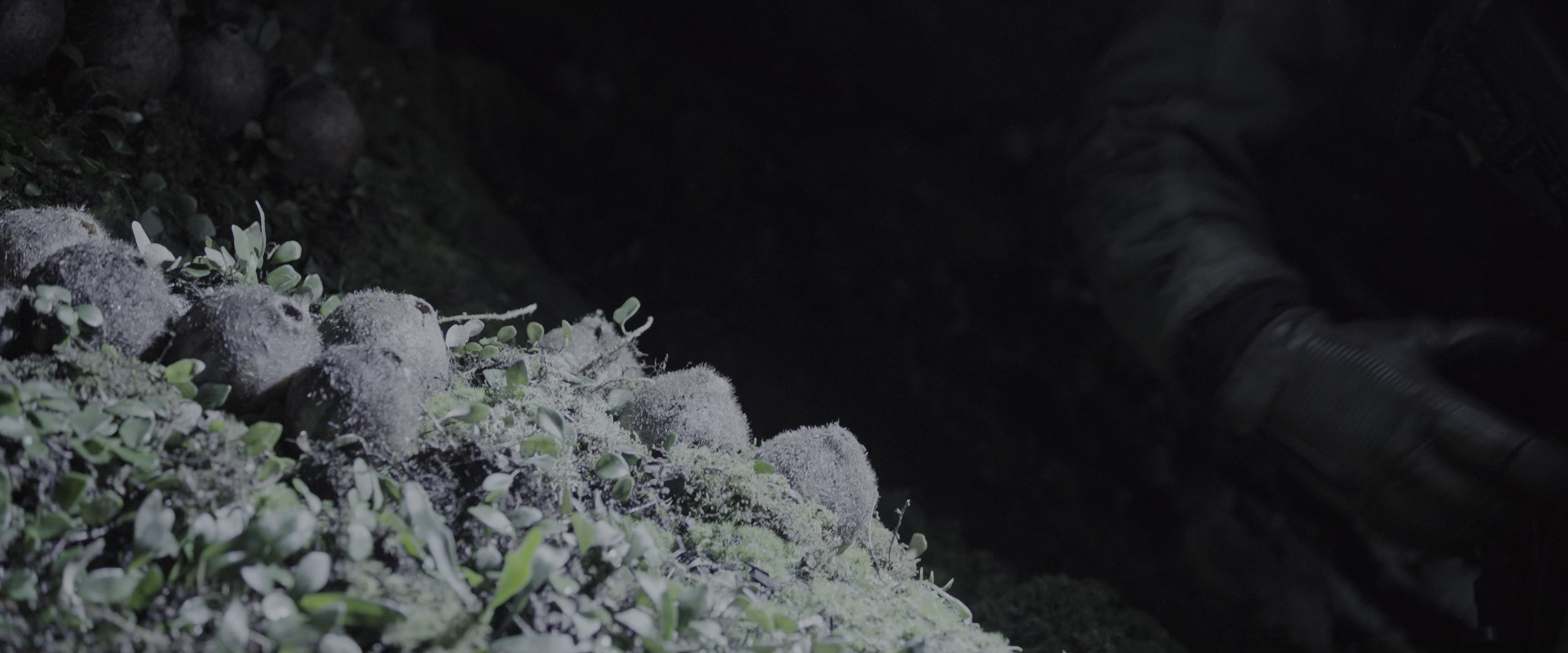 Alien: Covenant (2017), wide, 2.40:1 — film still