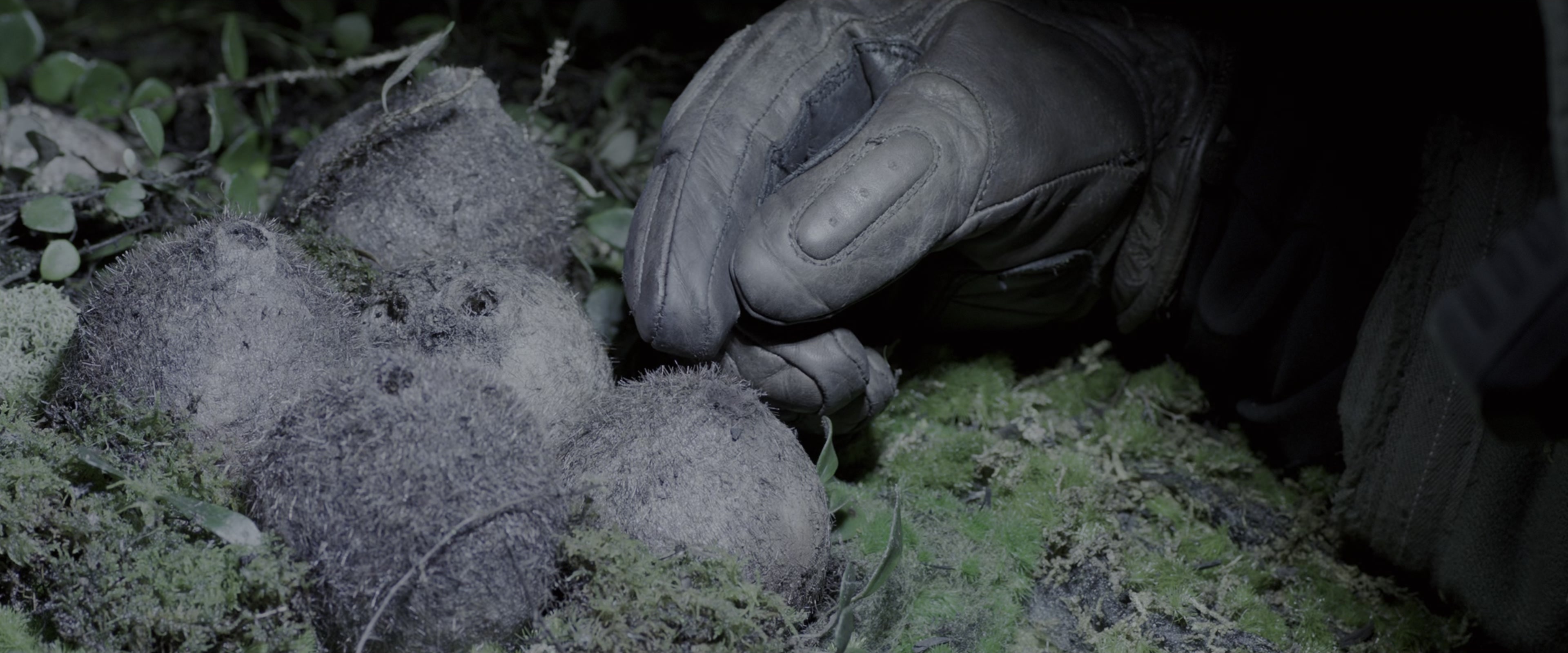 Alien: Covenant (2017), wide, 2.40:1 — film still