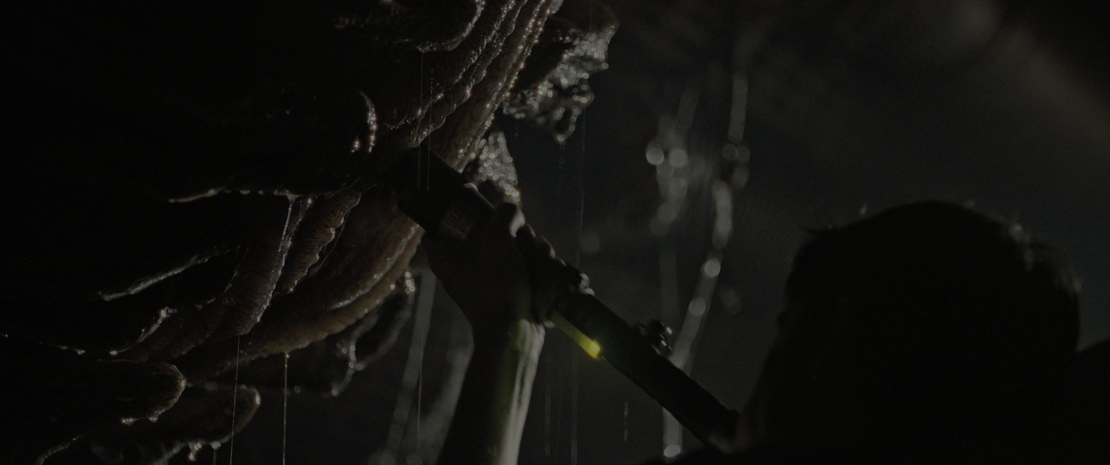 Alien: Romulus (2024), wide, 2.39:1 — film still