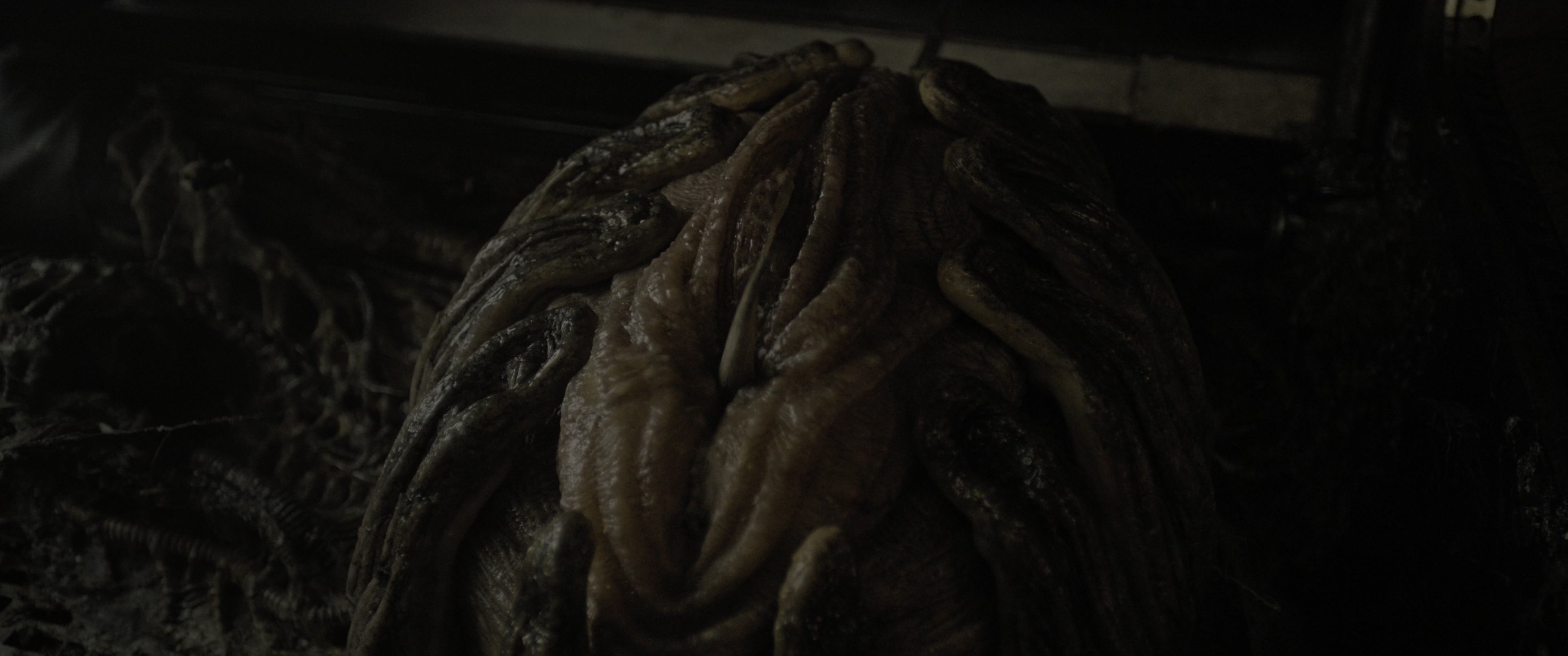 Alien: Romulus (2024), wide, 2.39:1 — film still
