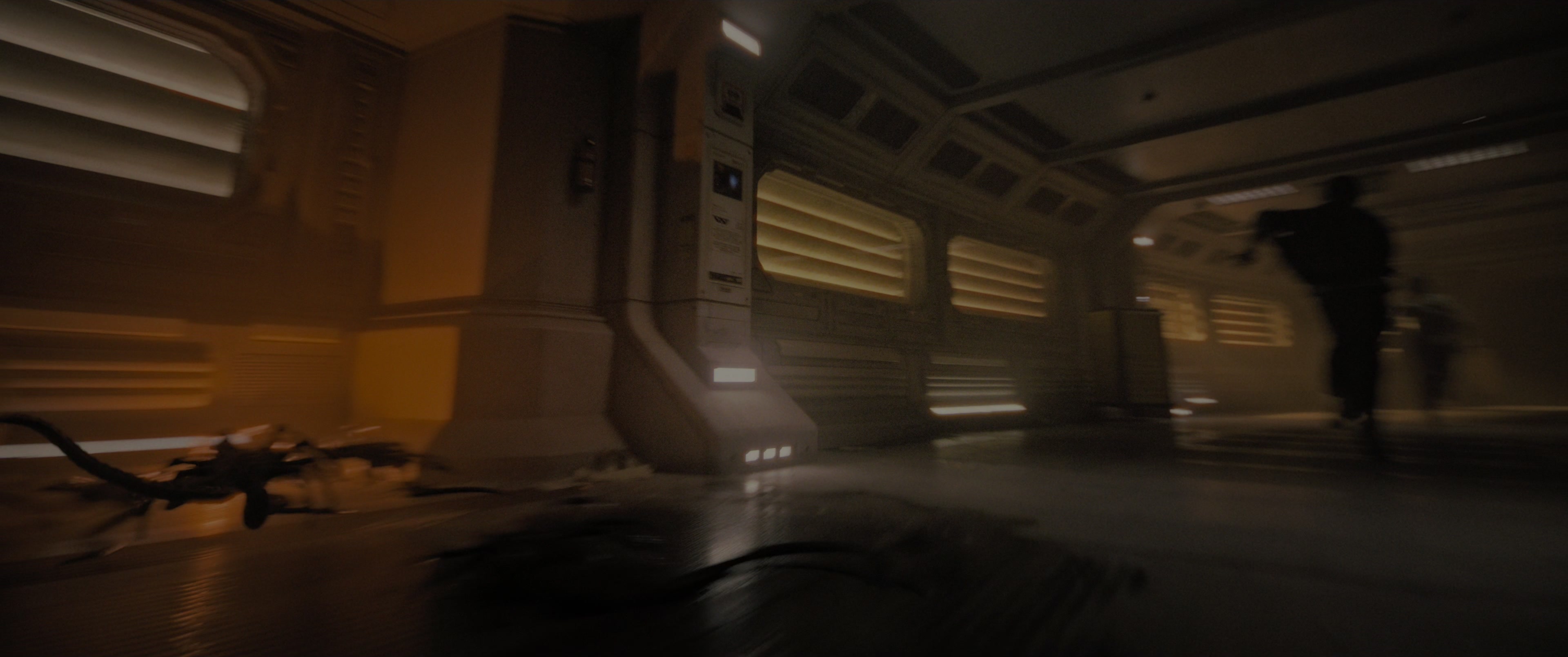 Alien: Romulus (2024), wide, 2.39:1 — film still