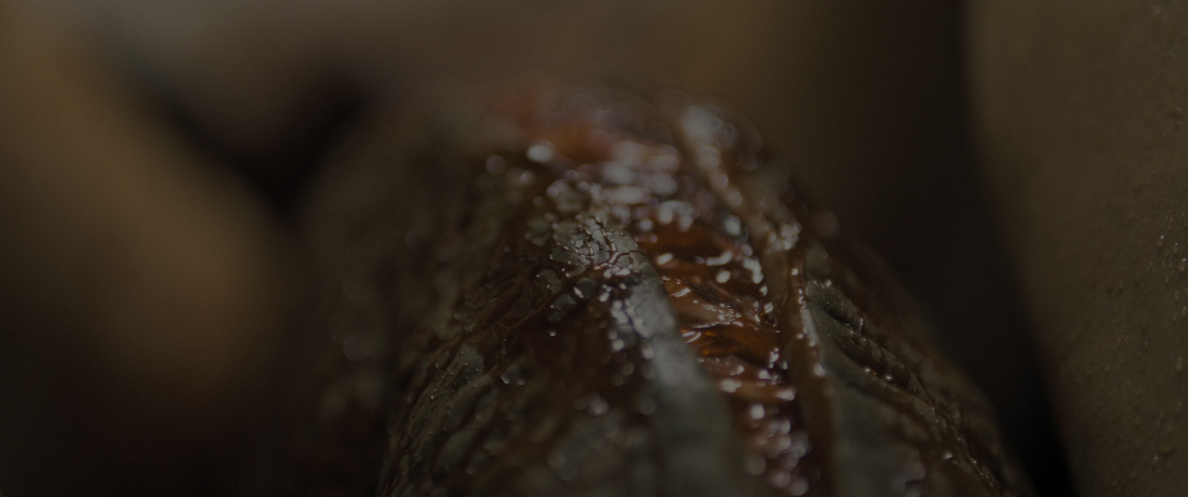 Alien: Romulus (2024), wide, 2.39:1 — film still