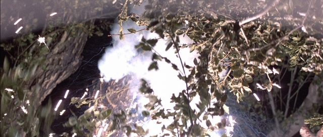 Wide shot frame from The Adventures of Buckaroo Banzai Across the 8th Dimension — flower, smoke, forest