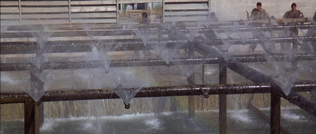Frame from The Adventures of Buckaroo Banzai Across the 8th Dimension — standing, door, water