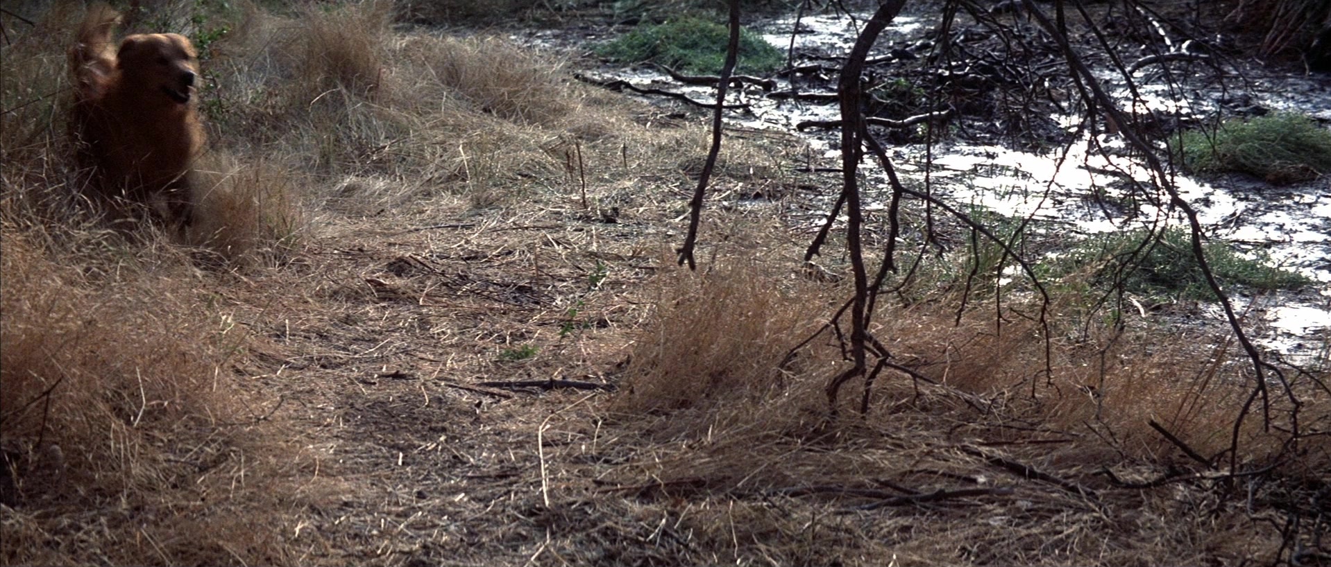The Adventures of Buckaroo Banzai Across the 8th Dimension (1984), wide, 2.34:1 — film still