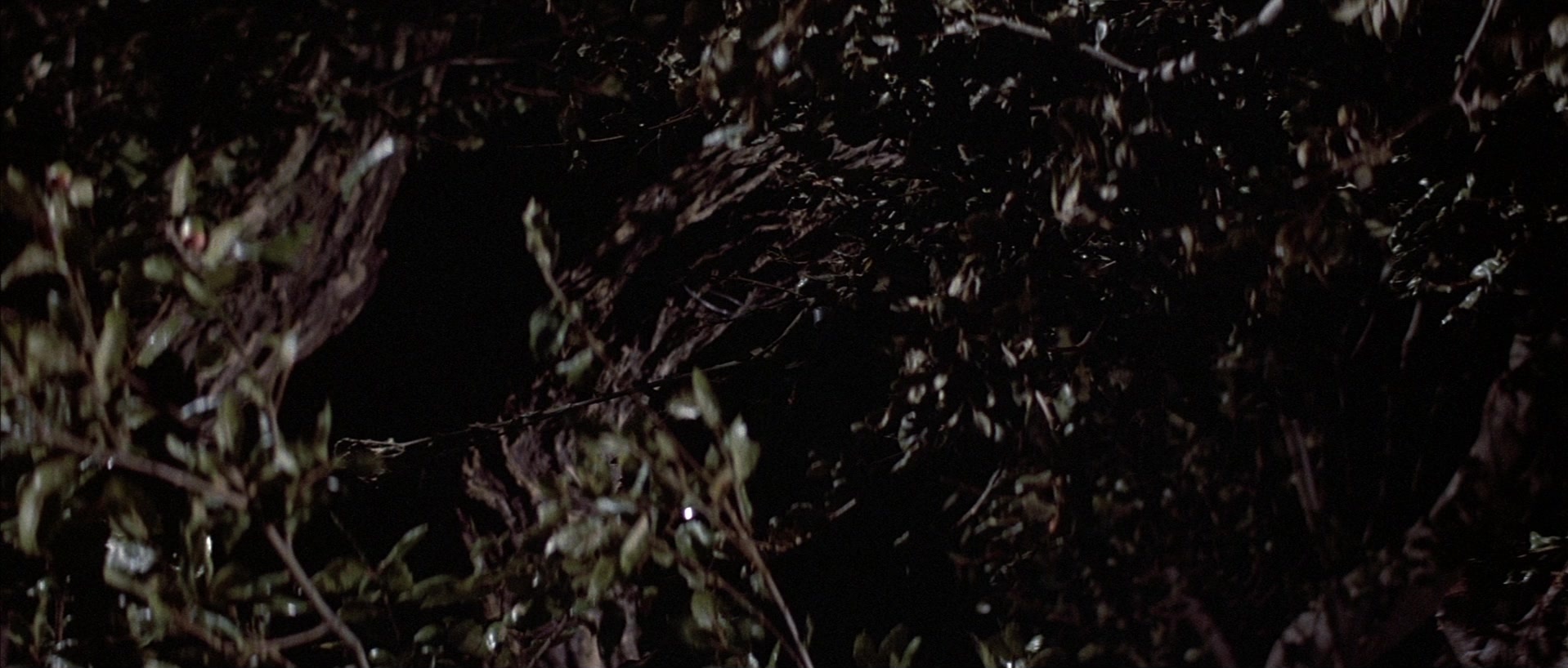 The Adventures of Buckaroo Banzai Across the 8th Dimension (1984), wide, 2.34:1 — film still