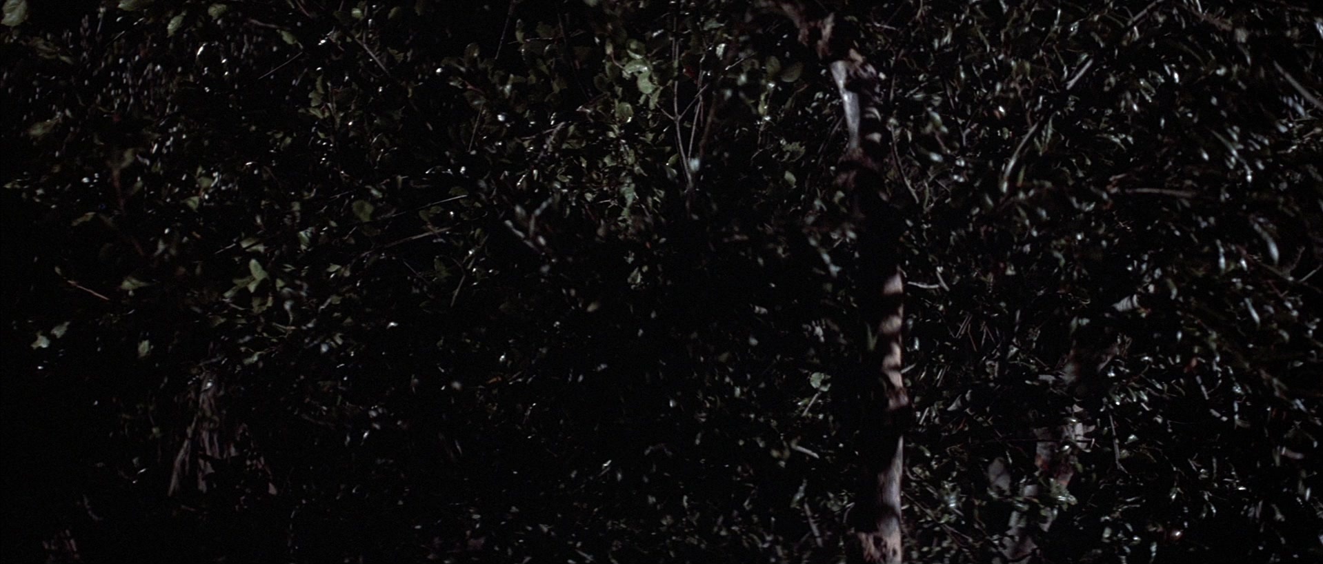 The Adventures of Buckaroo Banzai Across the 8th Dimension (1984), wide, 2.34:1 — film still
