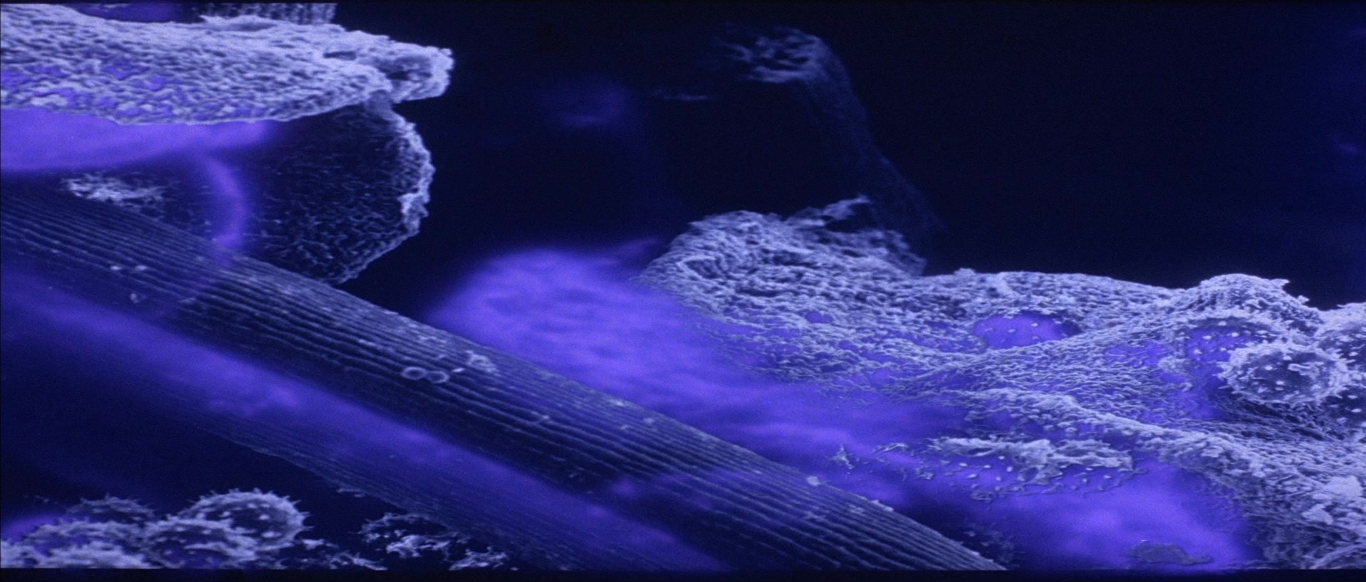 The Adventures of Buckaroo Banzai Across the 8th Dimension (1984), unknown, 2.34:1 — film still