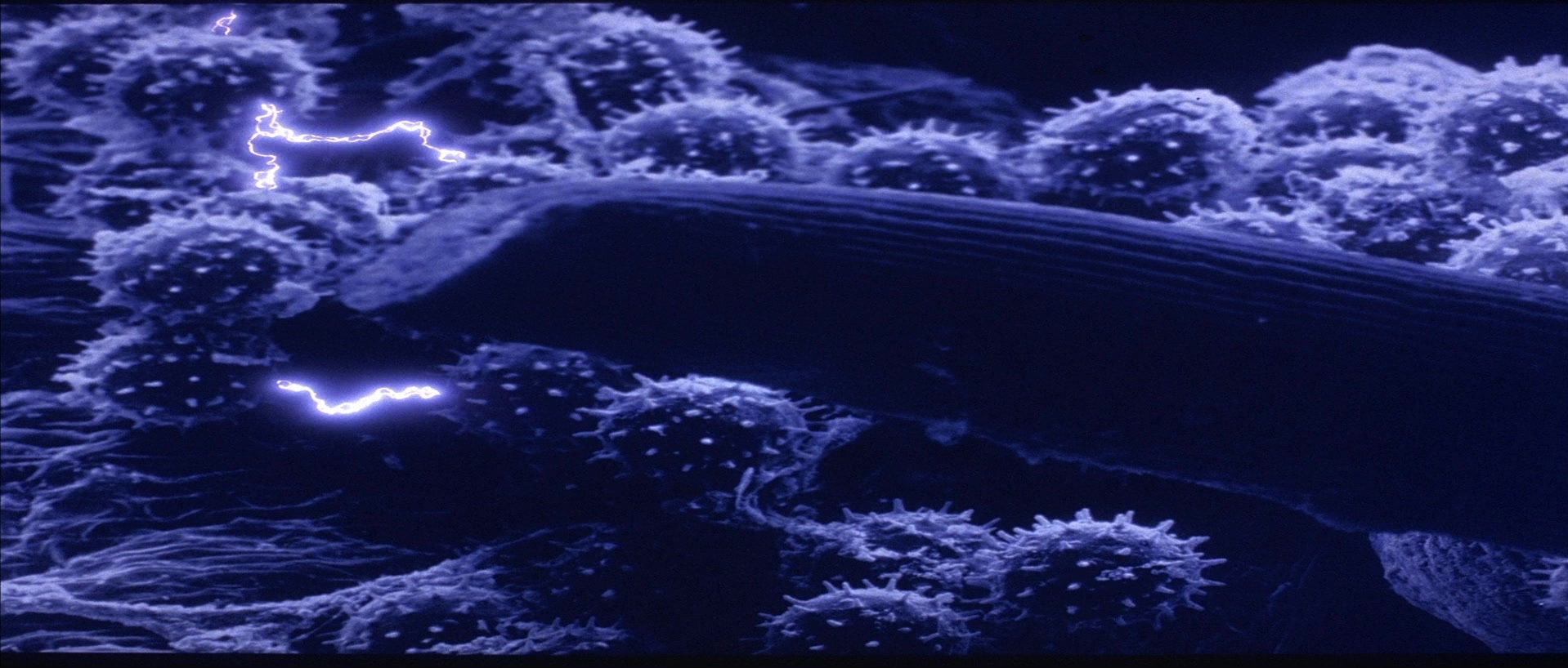 The Adventures of Buckaroo Banzai Across the 8th Dimension (1984), unknown, 2.34:1 — film still