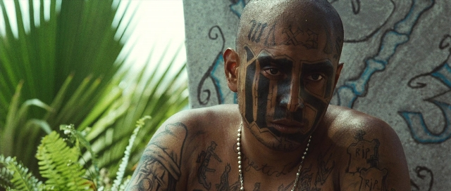 seria-1740492.jpg