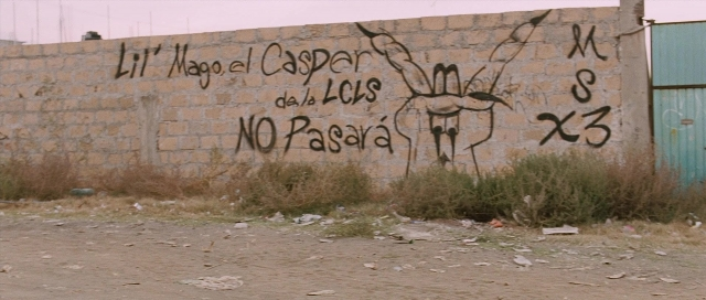 seria-4296799.jpg