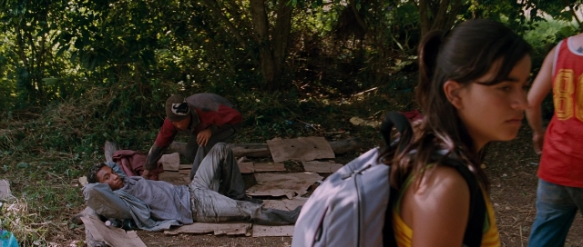 seria-5021274.jpg