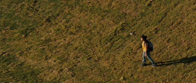 seria-5370582.jpg