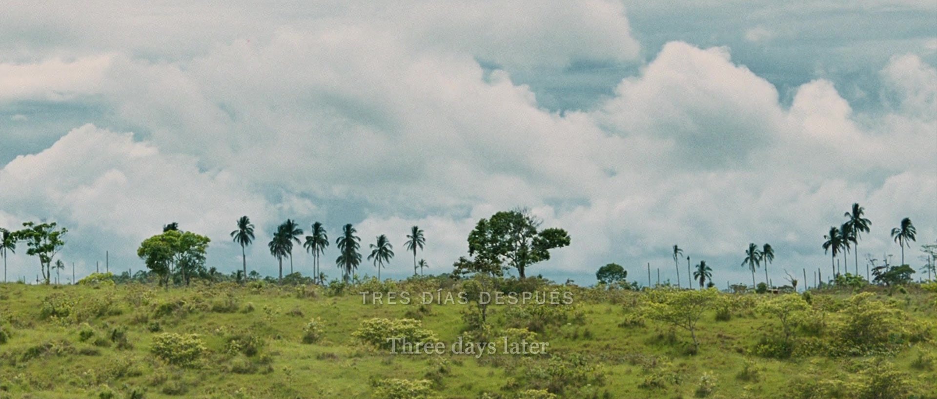 Sin nombre (2009), wide, 2.35:1 — film still