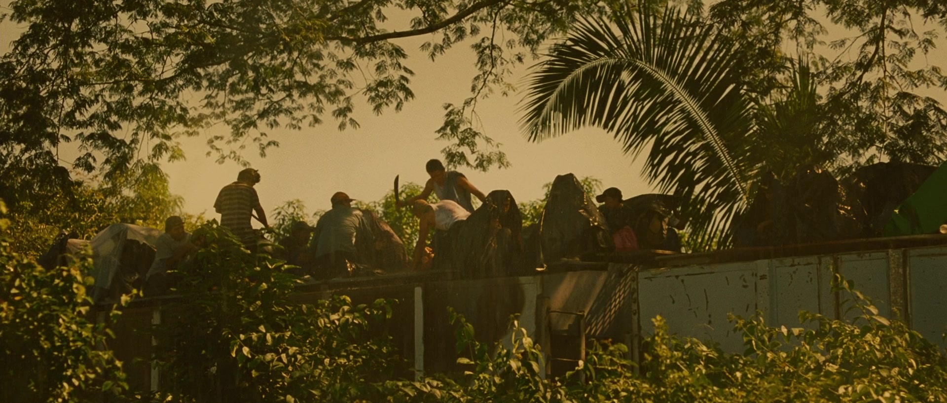 Sin nombre (2009), unknown, 2.35:1 — film still