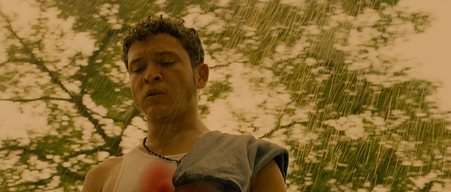 Sin nombre (2009), wide, 2.35:1 — film still