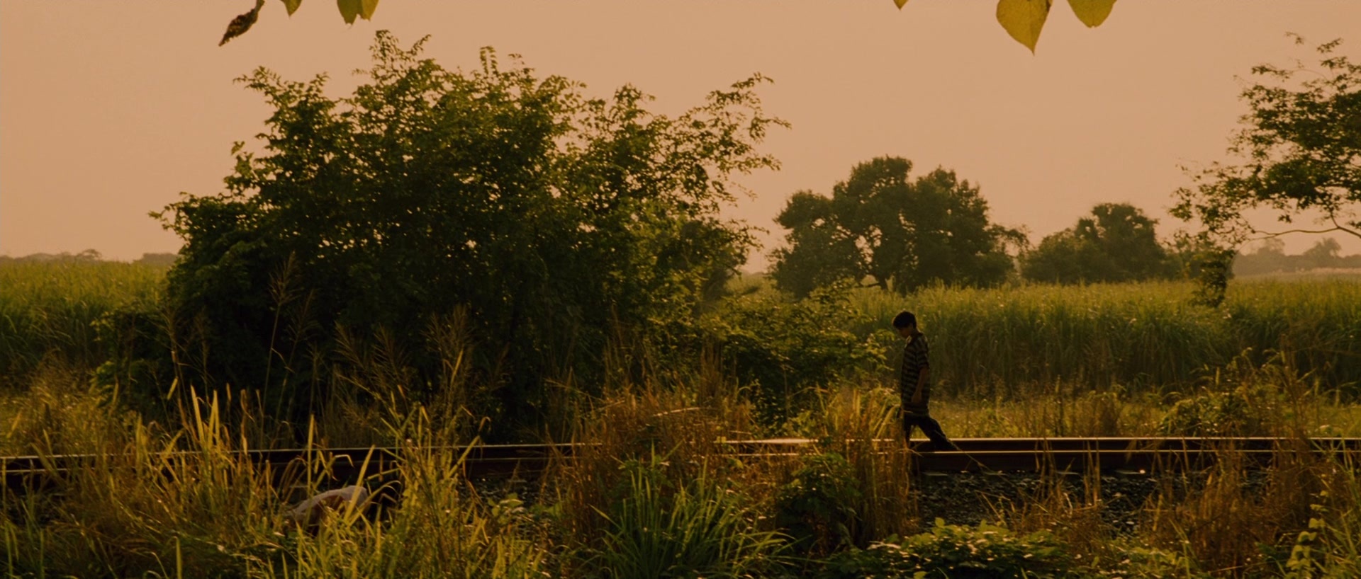Sin nombre (2009), wide, 2.35:1 — film still