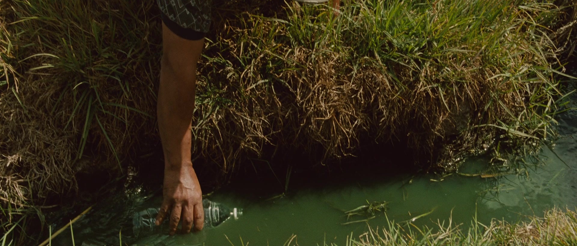 Sin nombre (2009), unknown, 2.35:1 — film still