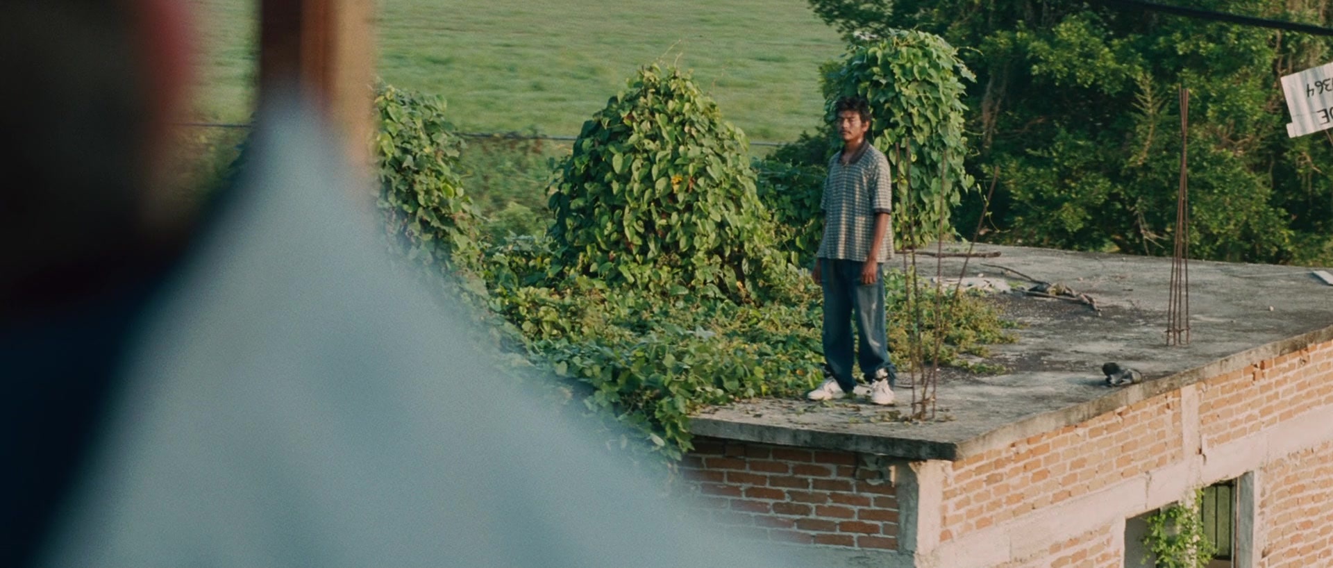 Sin nombre (2009), wide, 2.35:1 — film still