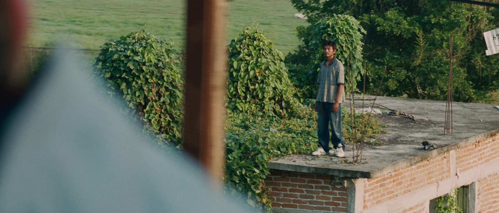 Sin nombre (2009), wide, 2.35:1 — film still