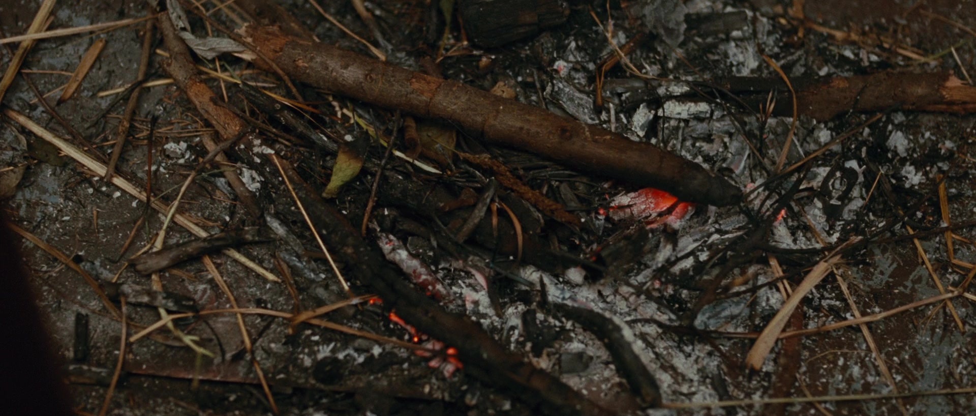 Sin nombre (2009), wide, 2.35:1 — film still