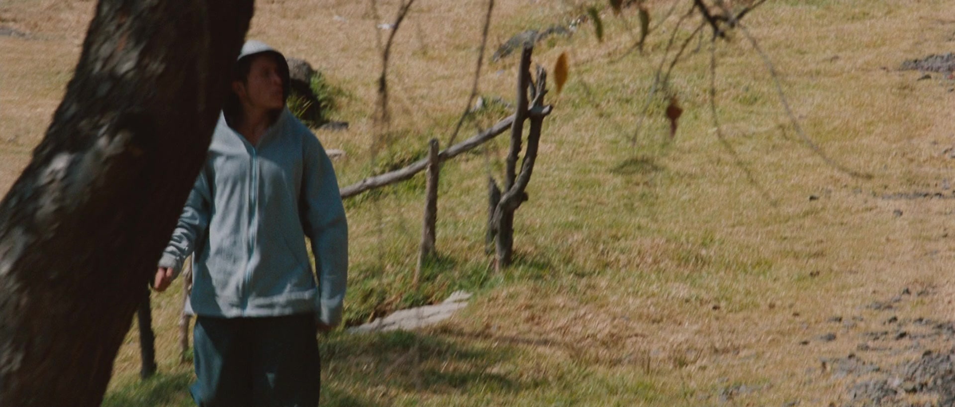 Sin nombre (2009), wide, 2.35:1 — film still