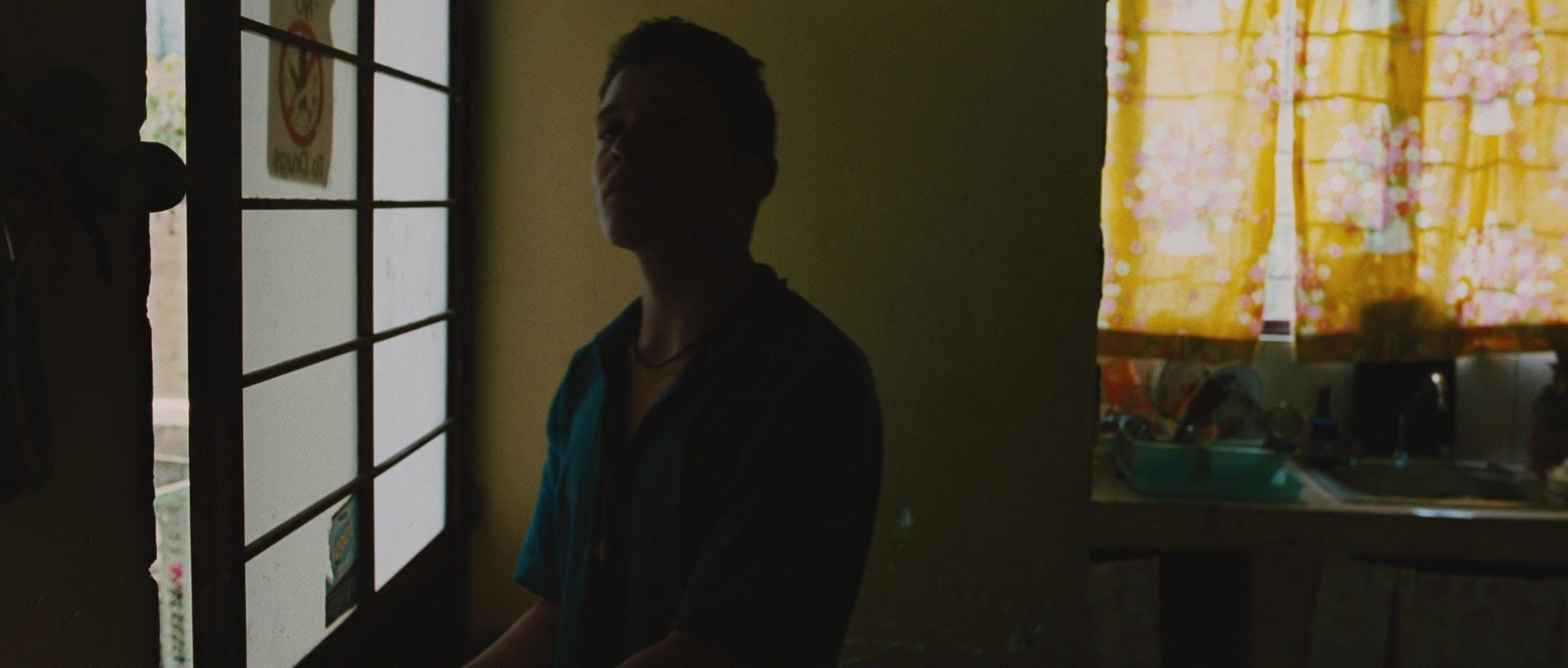Sin nombre (2009), wide, 2.35:1 — film still