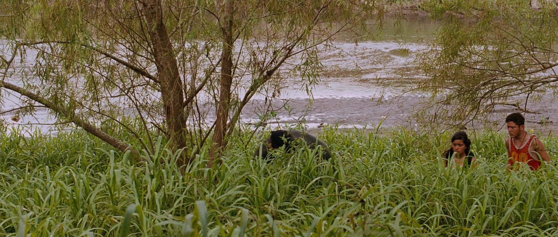 Sin nombre (2009), wide, 2.35:1 — film still