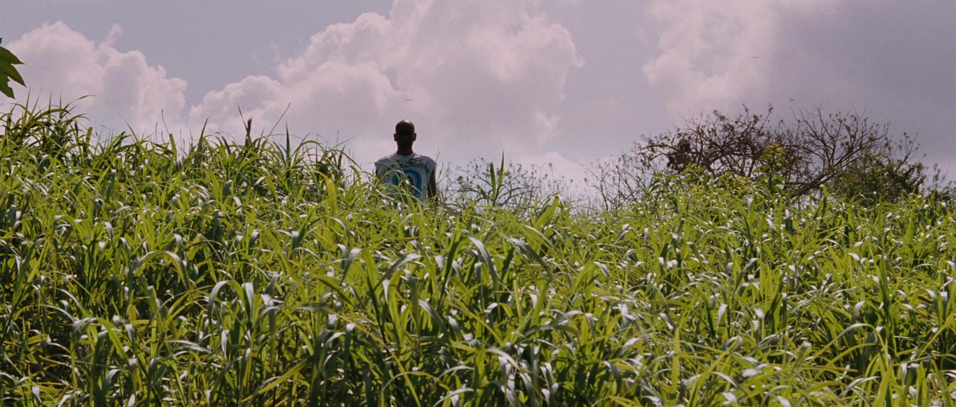 Sin nombre (2009), unknown, 2.35:1 — film still