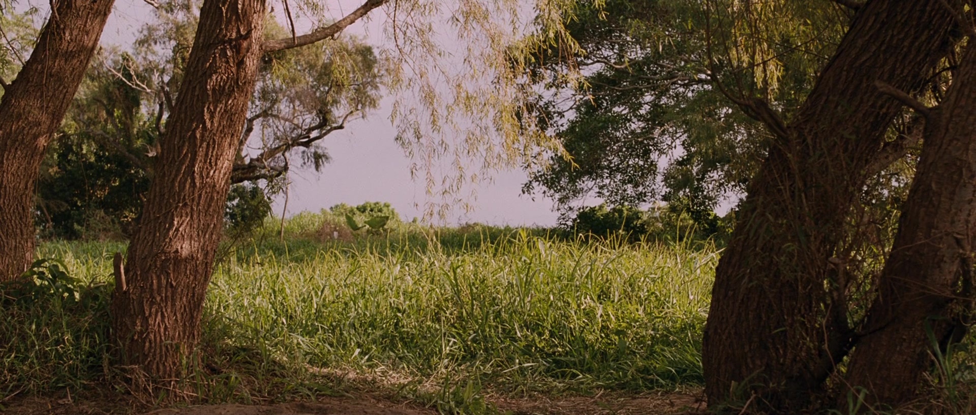 Sin nombre (2009), wide, 2.35:1 — film still