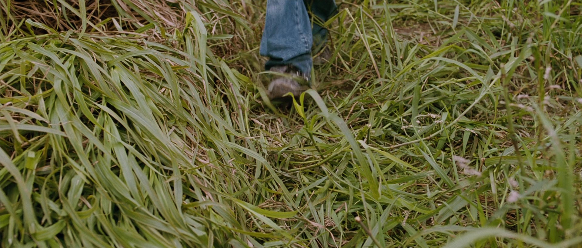 Sin nombre (2009), unknown, 2.35:1 — film still