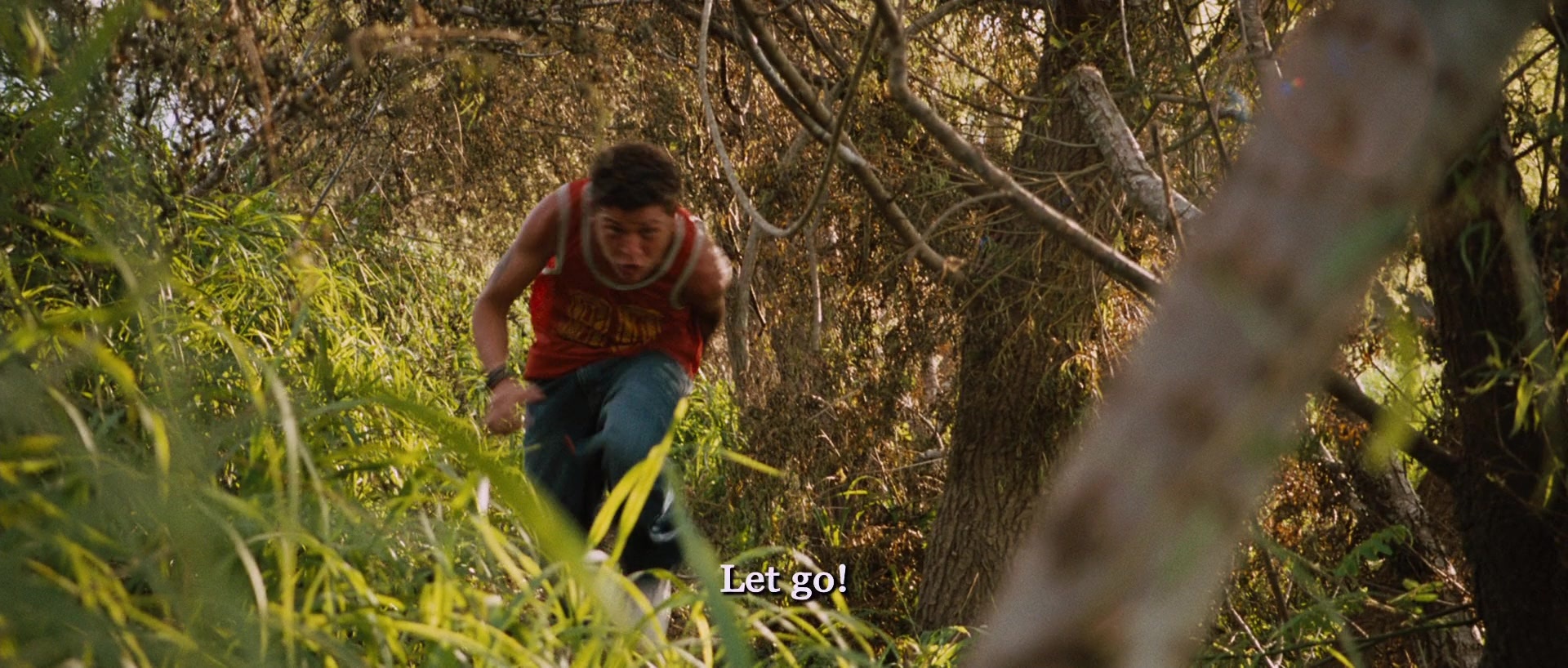 Sin nombre (2009), wide, 2.35:1 — film still