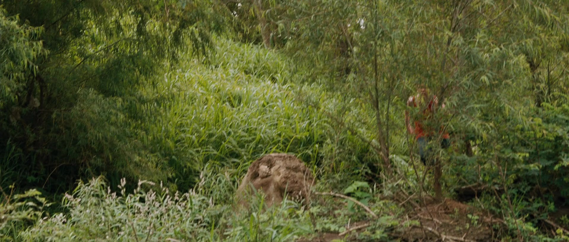 Sin nombre (2009), wide, 2.35:1 — film still
