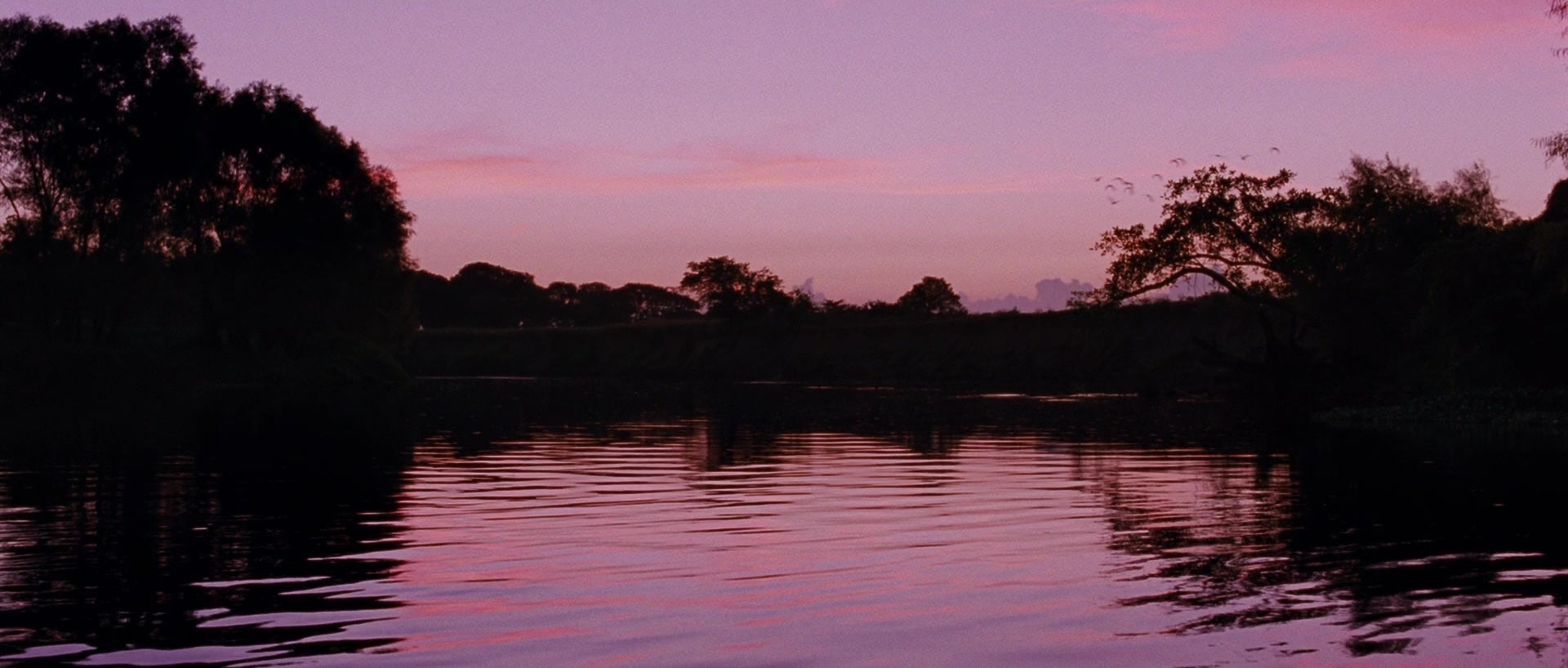 Sin nombre (2009), wide, 2.35:1 — film still