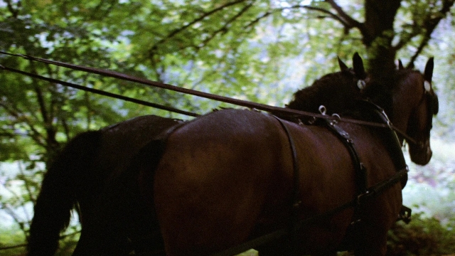 Fanny och Alexander — film still