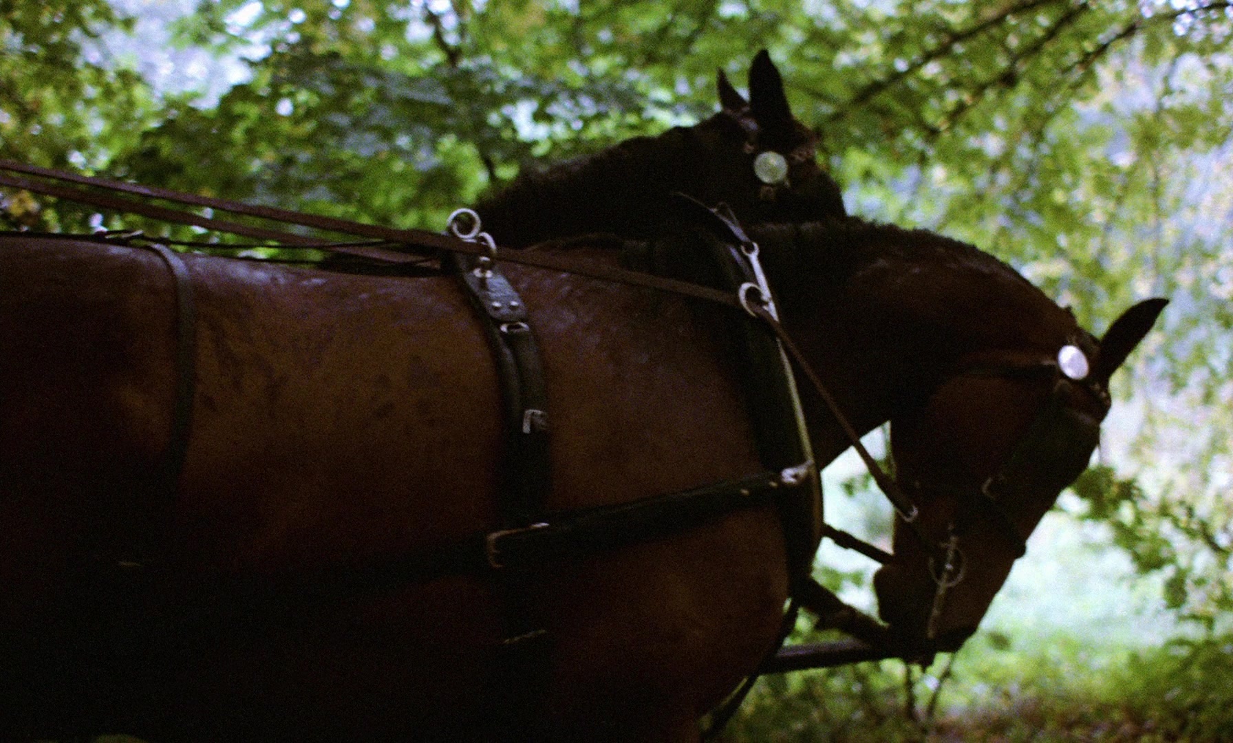 Fanny och Alexander (1982), wide, 1.66:1 — film still