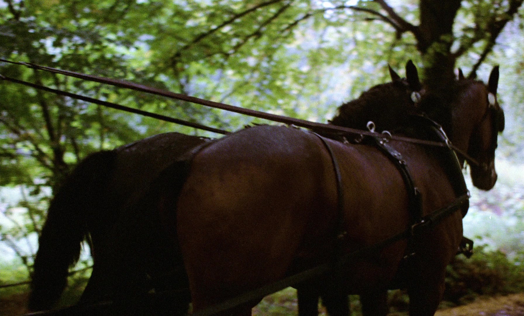 Fanny och Alexander (1982), wide, 1.66:1 — film still
