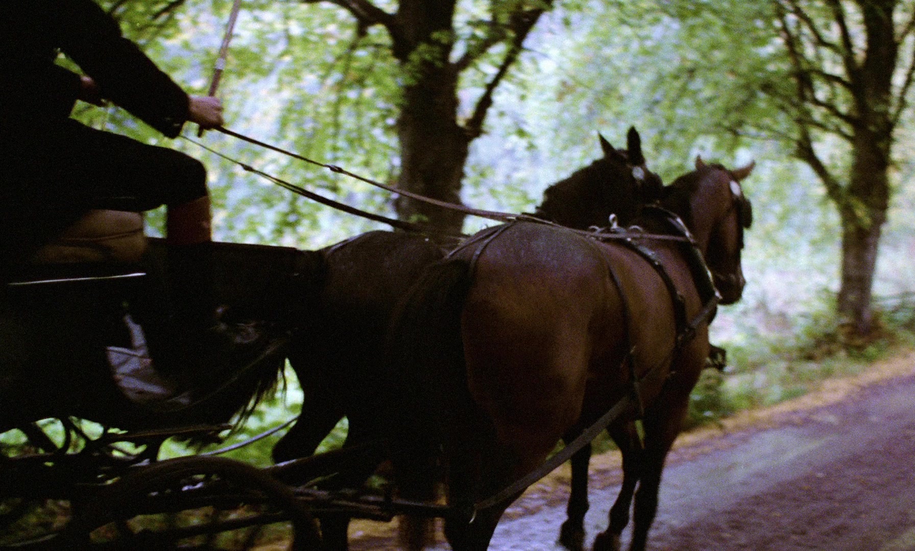 Fanny och Alexander (1982), wide, 1.66:1 — film still