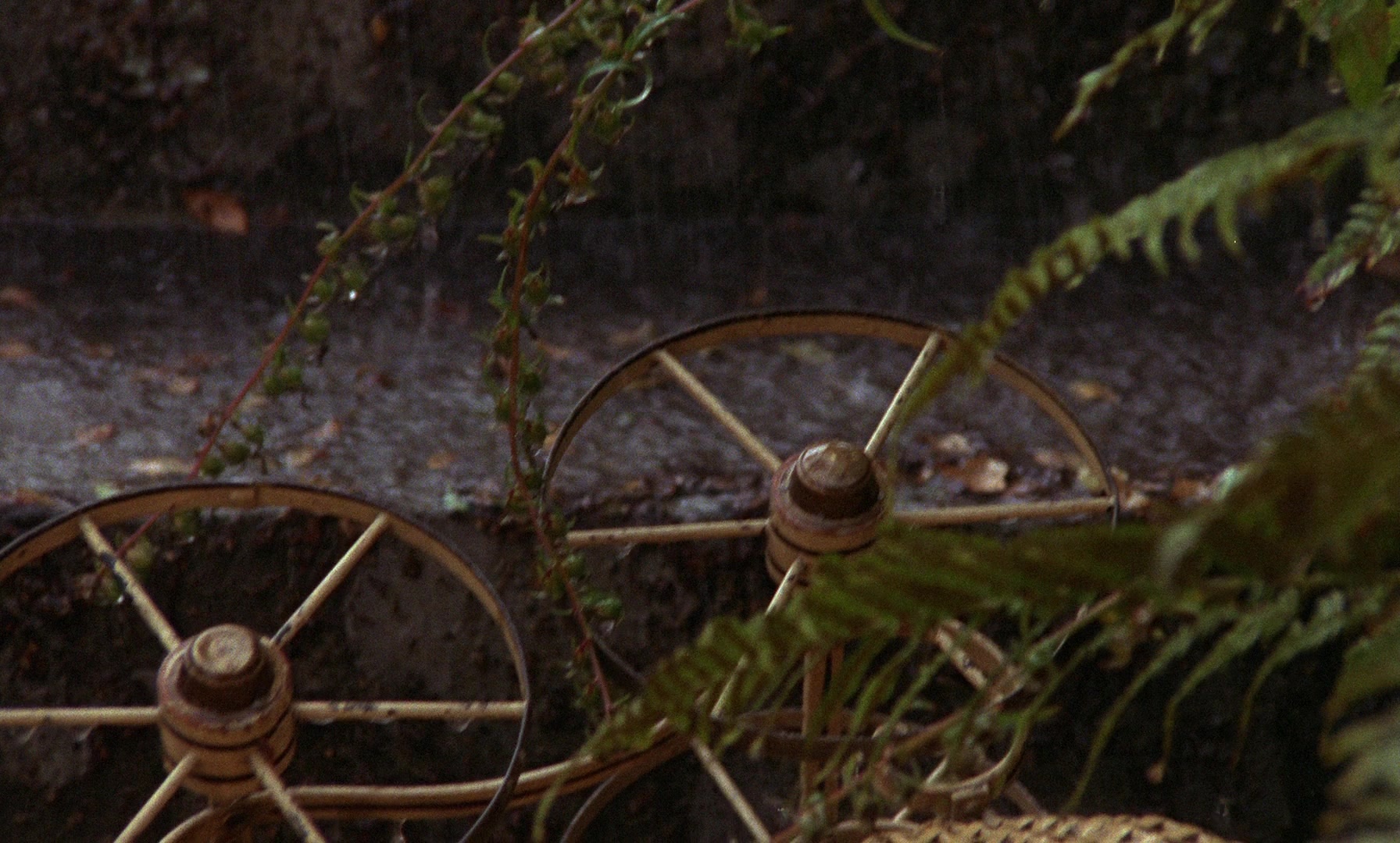 Fanny och Alexander (1982), wide, 1.66:1 — film still