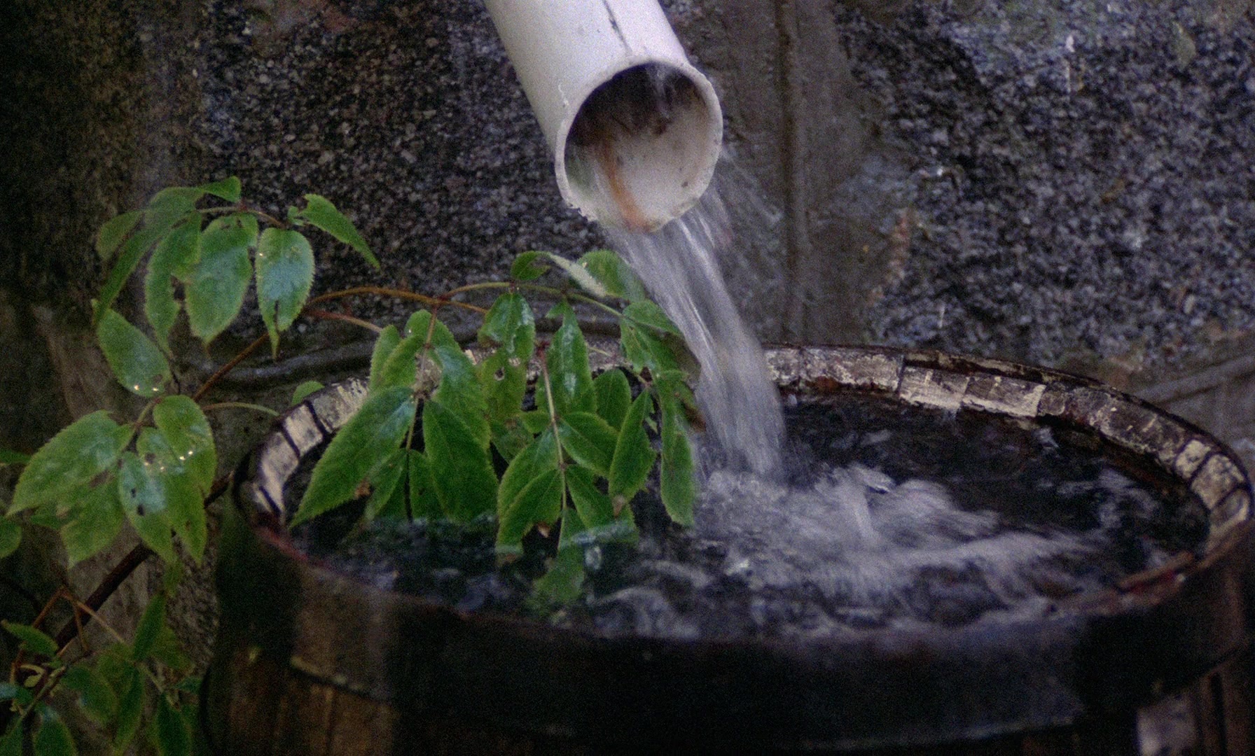 Fanny och Alexander (1982), wide, 1.66:1 — film still