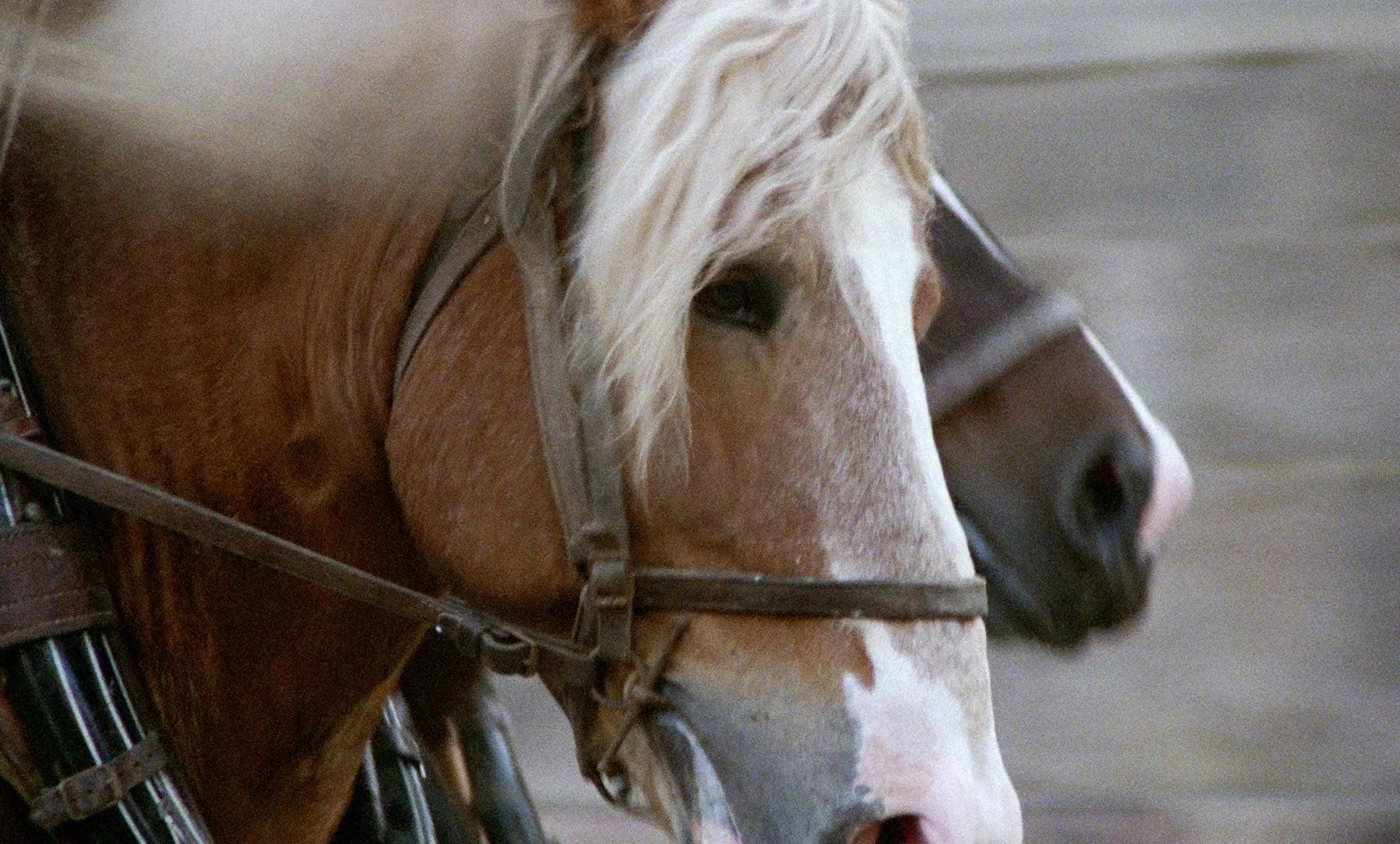 Fanny och Alexander (1982), wide, 1.66:1 — film still
