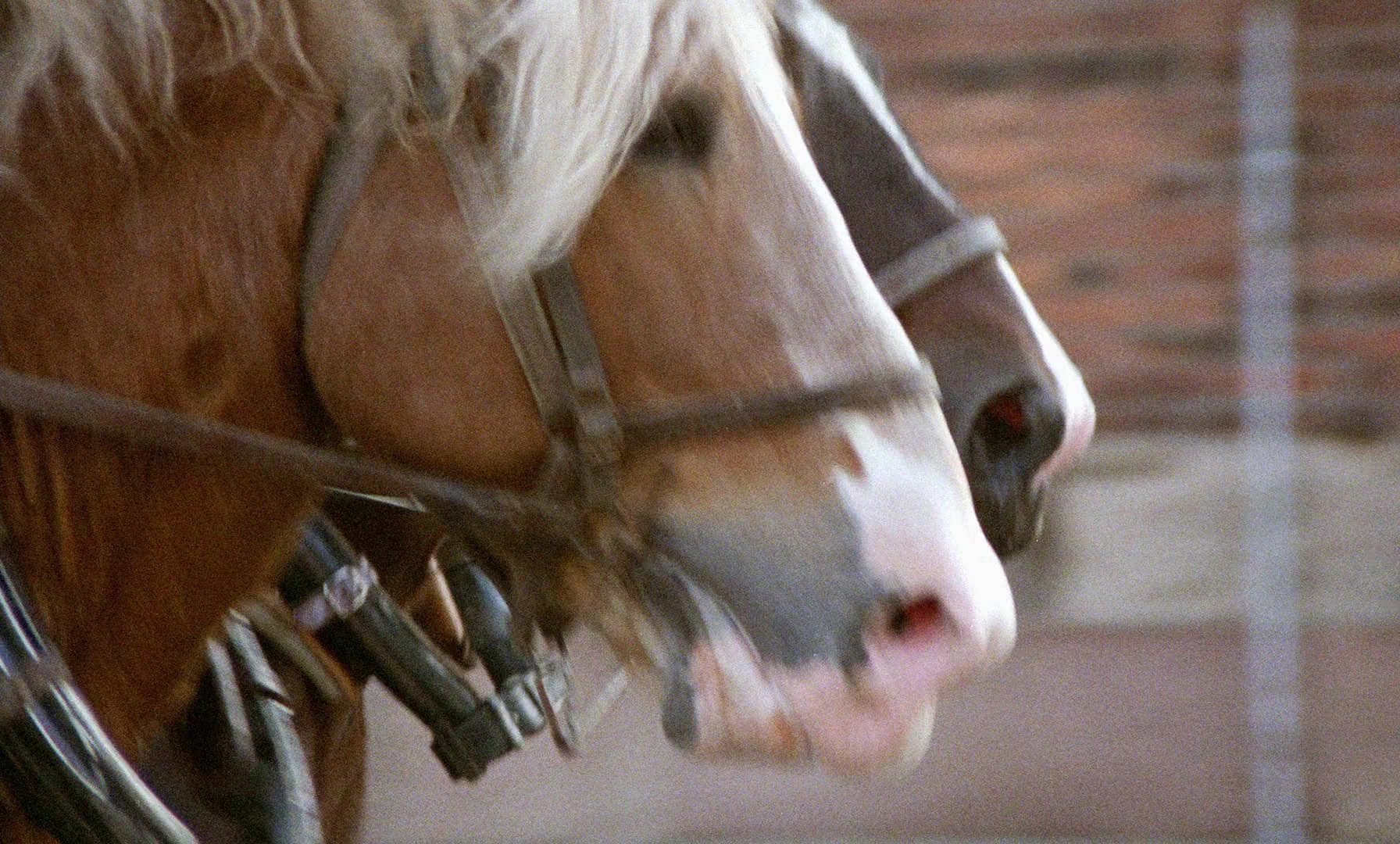 Fanny och Alexander (1982), wide, 1.66:1 — film still