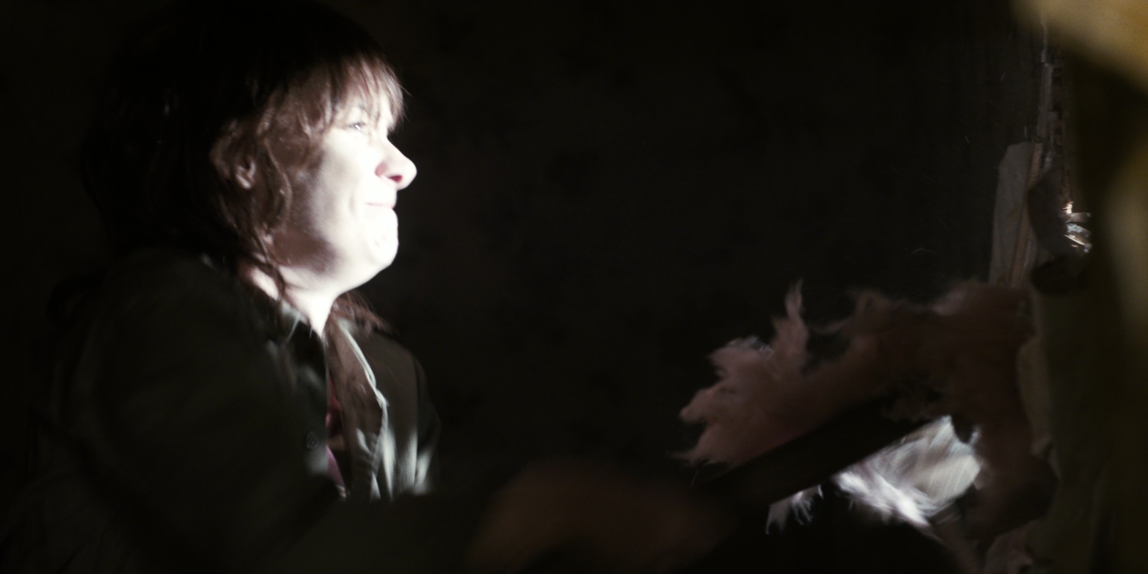 Stranger Things (2016), wide, 2.00:1 — film still