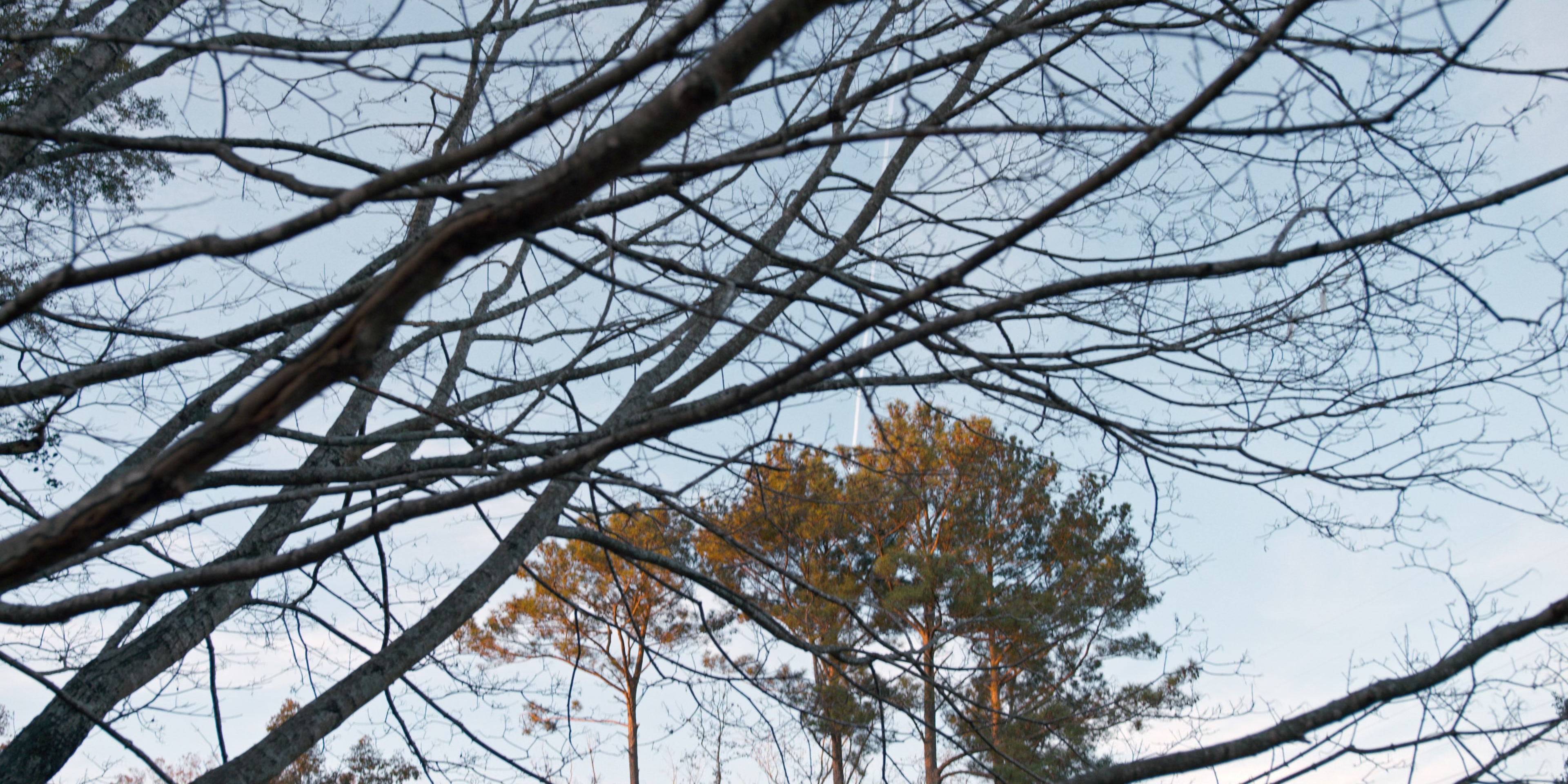 Stranger Things (2016), wide, 2.00:1 — film still